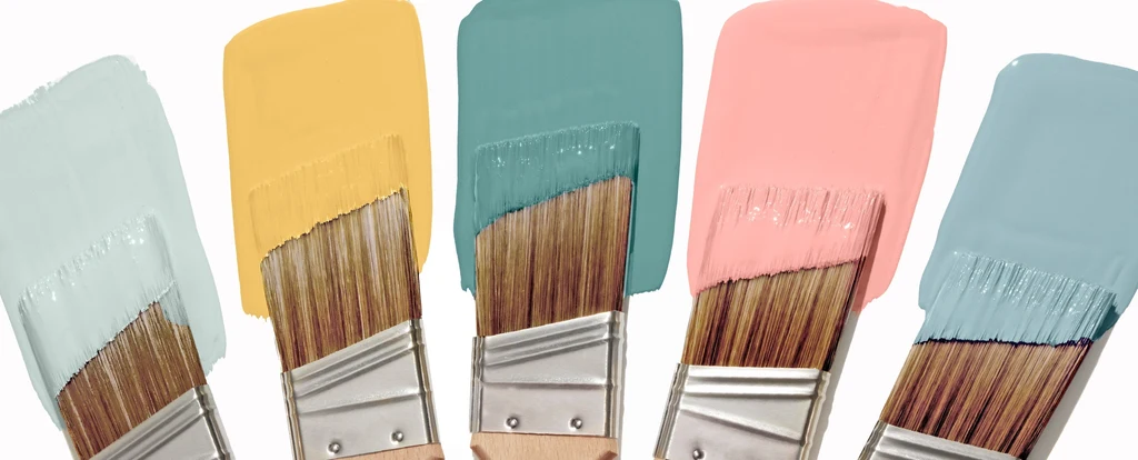 Clare Wall Paint
