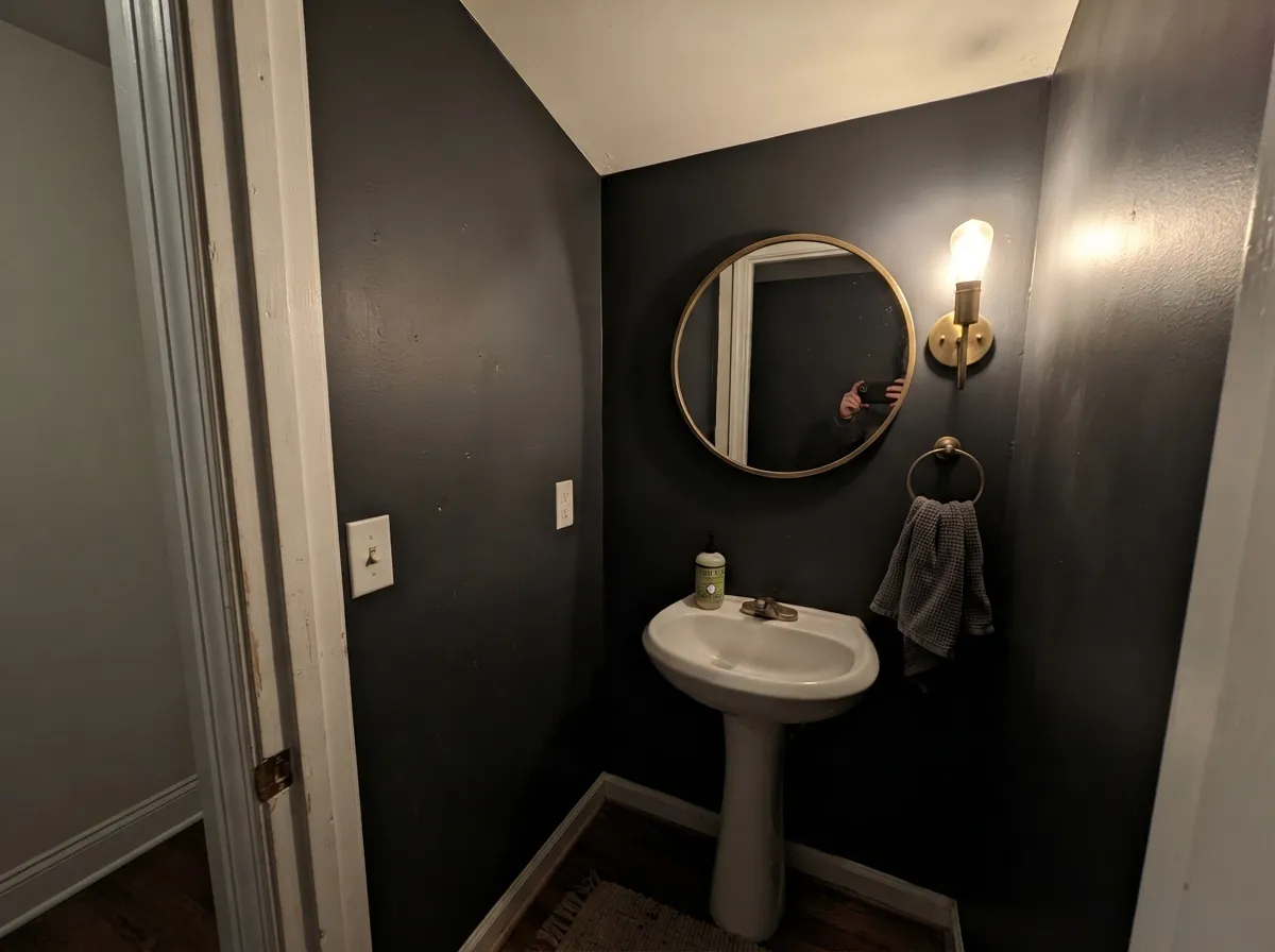The cheapest place to be brave: a windowless powder room drenched black, with matte hiding the wavy old plaster.