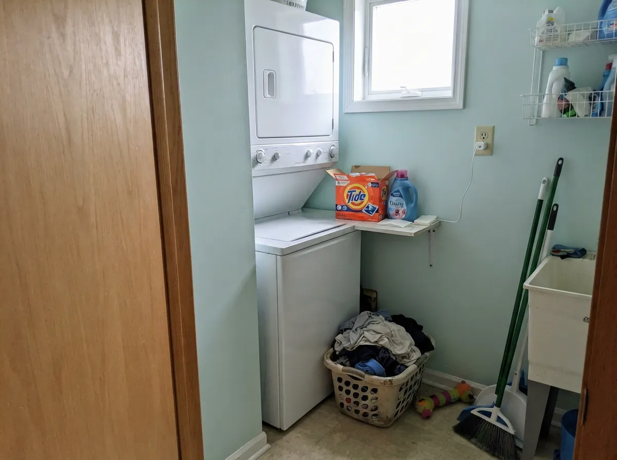 In a plain utility room it adds just enough color to feel considered without competing with anything.