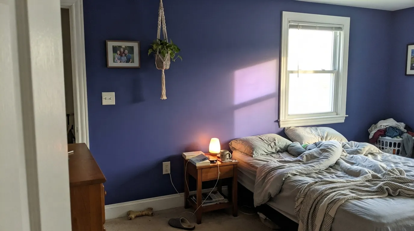 The honest shot: direct warm south sun pulls the violet forward and the same wall reads distinctly purple in the sunlit patch — the shift buyers expecting a plain blue don't see coming.