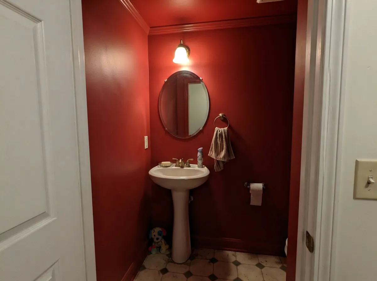 Drenched floor to ceiling in a powder room, the intensity reads lacquered and deliberate rather than dark.