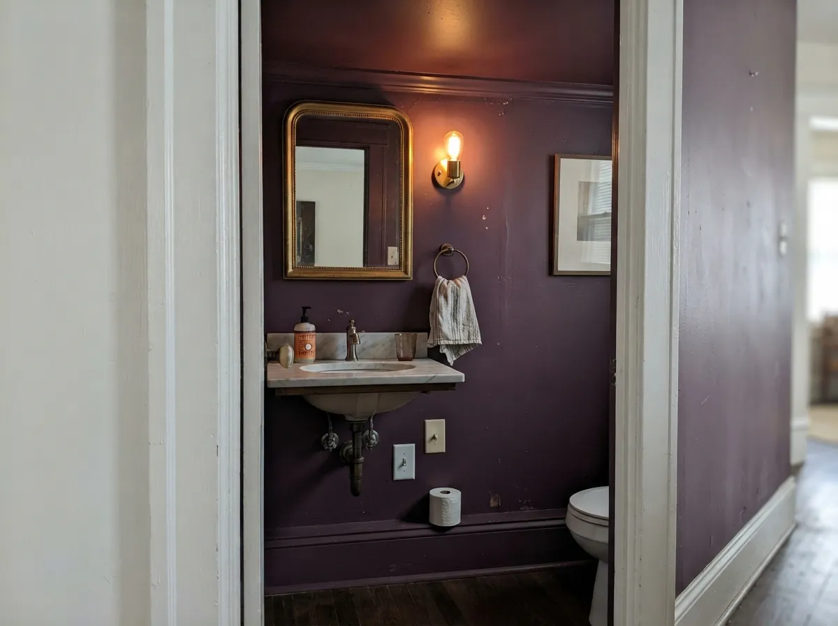 Drenched: walls, ceiling and trim all Eggplant, with the light beside the mirror instead of overhead — the jewel-box version that makes a small room feel deliberate.