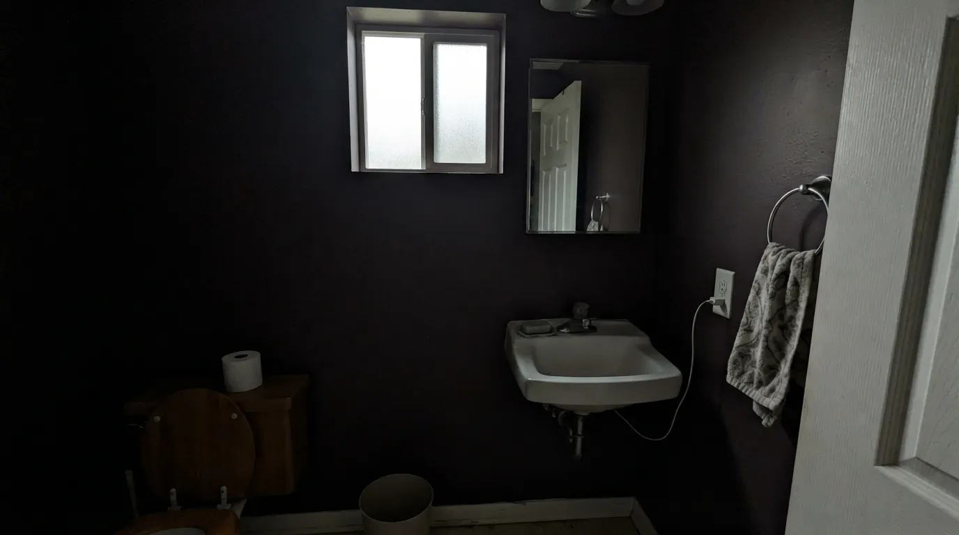 The honest shot: with cool north light and no lamp on, LRV 11 gives nothing back — the purple vanishes and the walls just read brown-black.