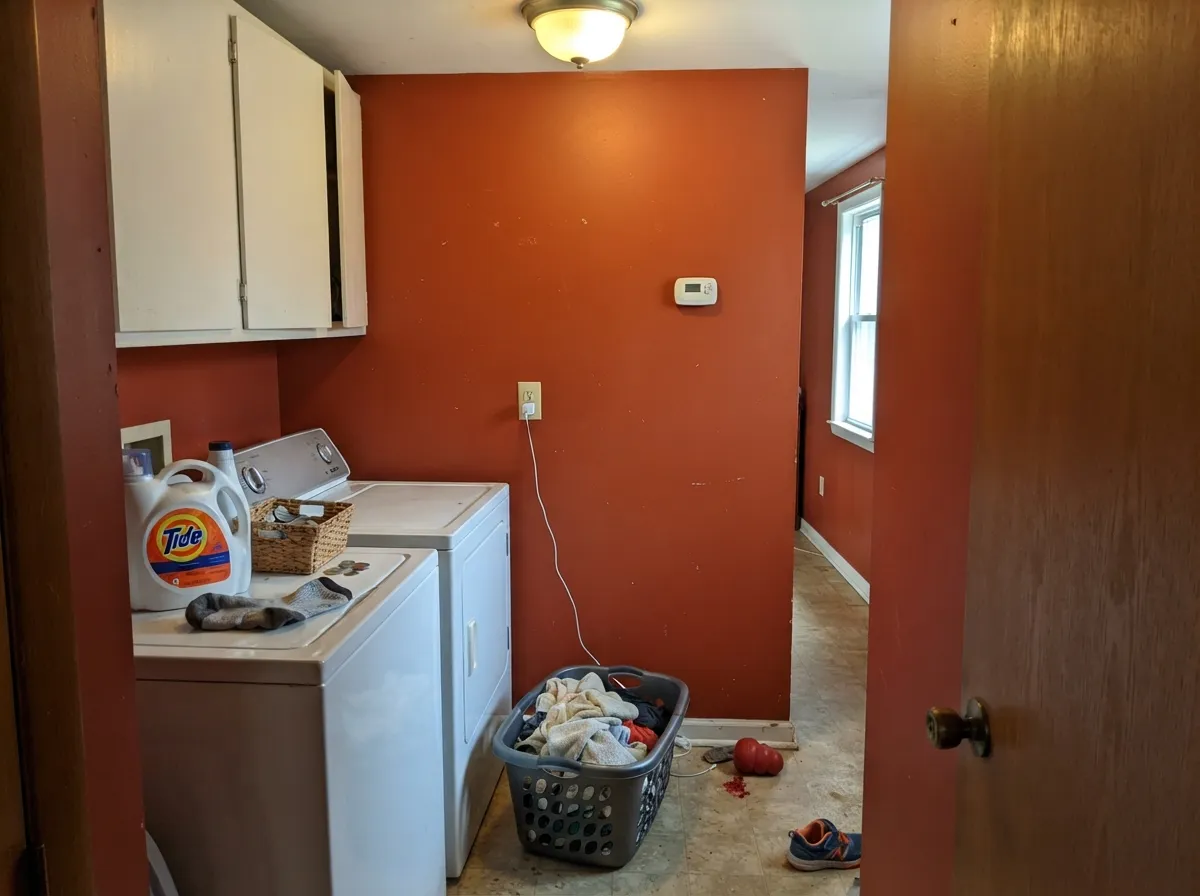 A laundry room is the cheapest place to try a color this hot — two coats of wall area and a door that stays shut.
