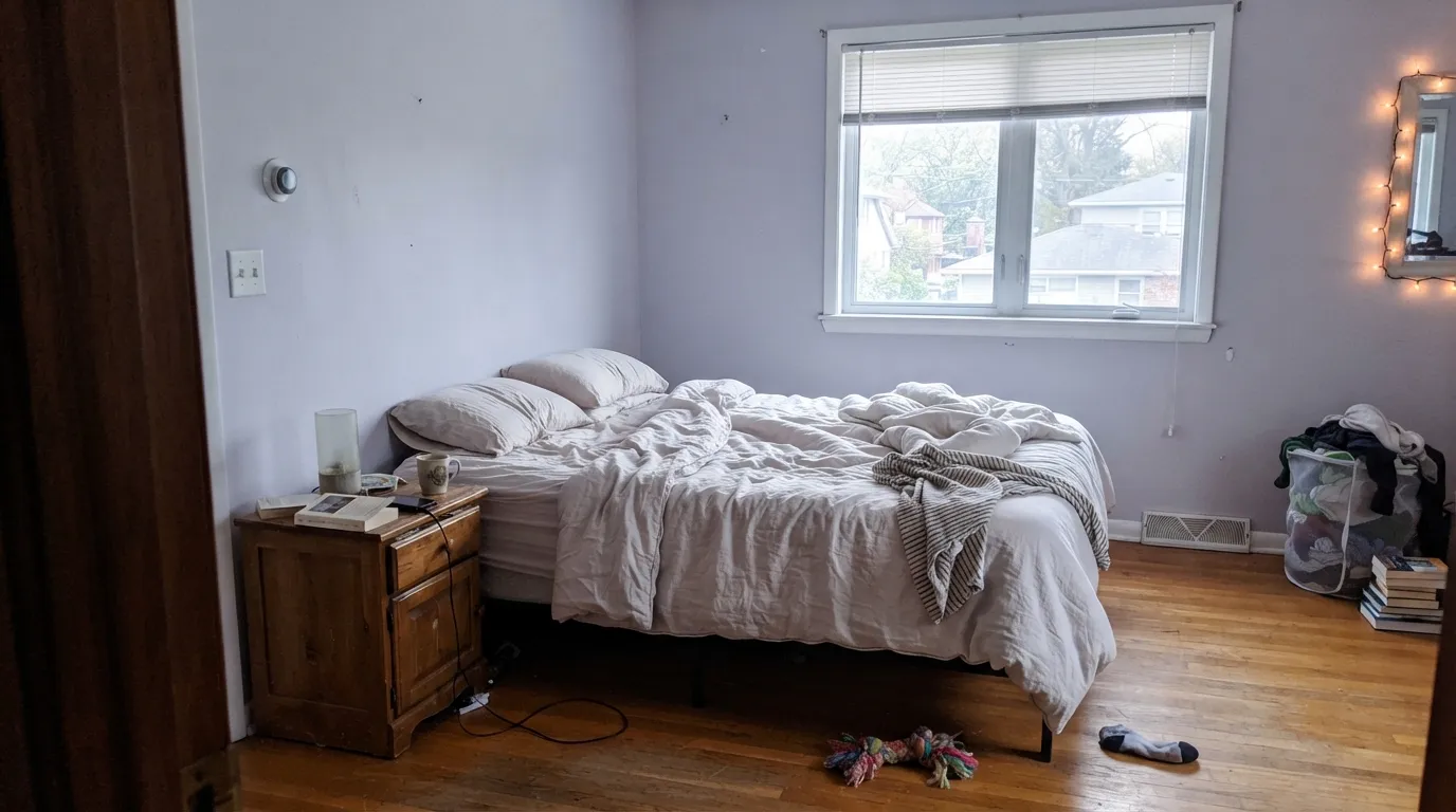 Benjamin Moore Winter Gray in a real room