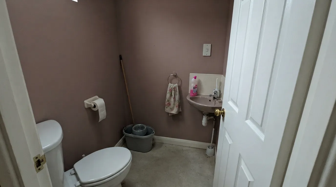 The honest shot: without lamps, a small cloakroom turns Sulking Room Pink into the brown cave owners describe — not a pink, not a mood, just dirt.