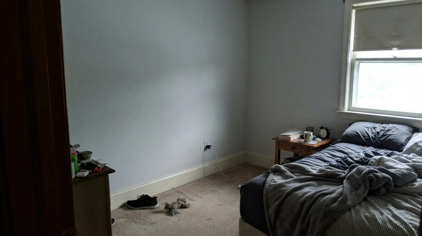 The honest shot: cool north light drains the faint warmth, and a creamier trim white right next to it makes the wall look washed out and gray by comparison.