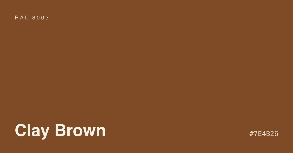 Sunlit room with a clay brown painted accent
