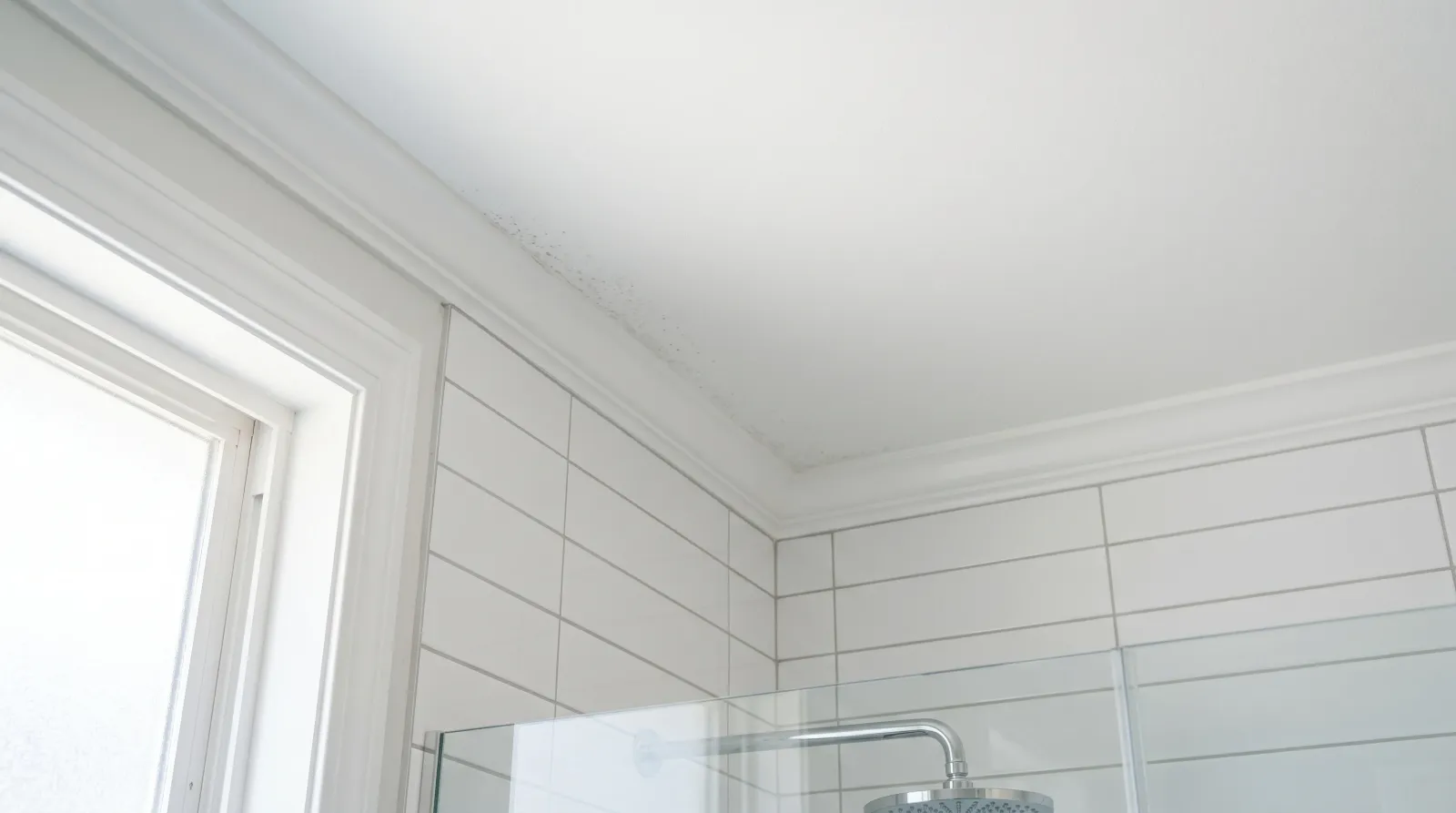 How to Prevent Bathroom Mold (Vent and Paint Plan)