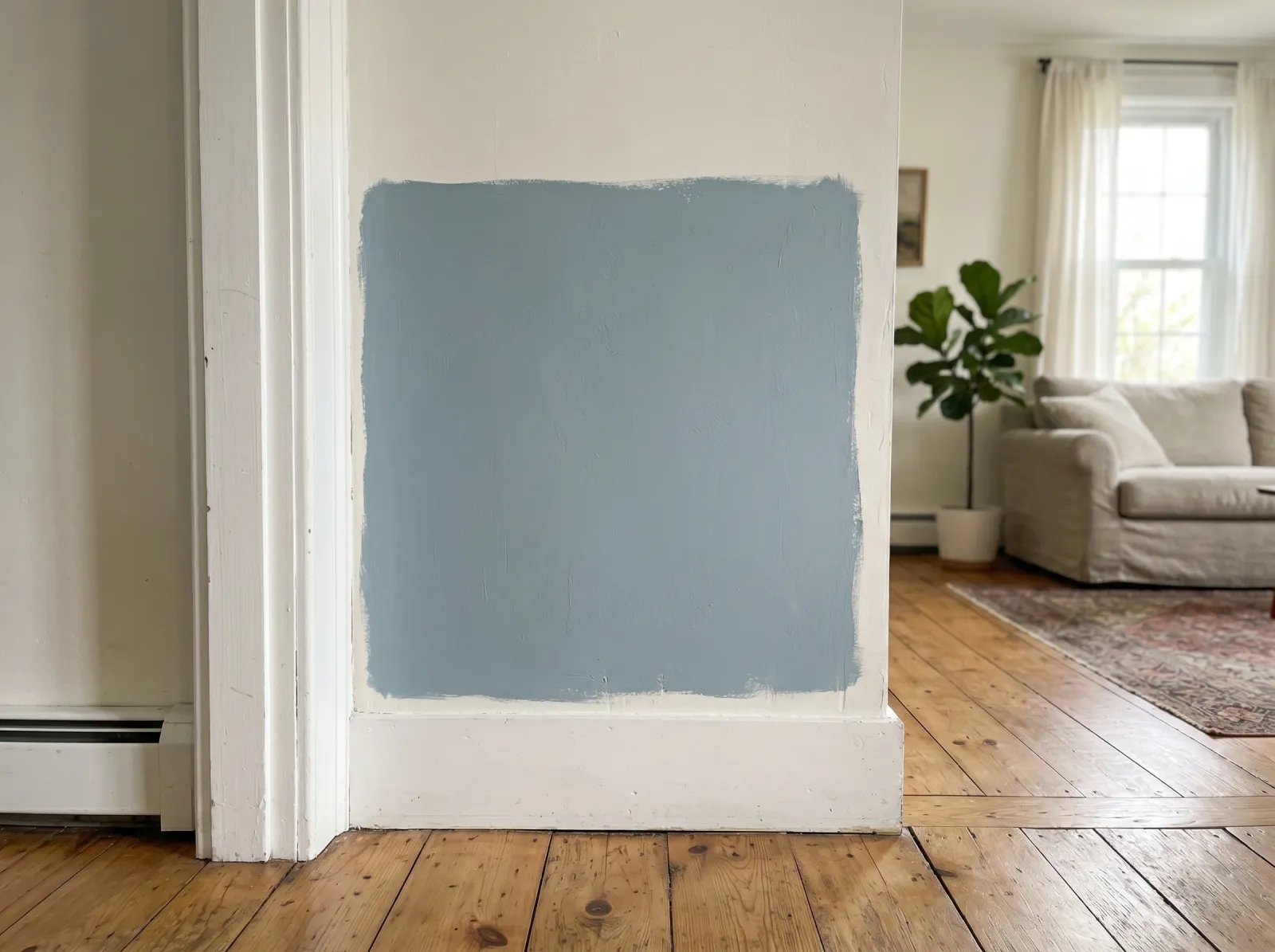 A large two-foot sample square painted directly on the wall beside white trim and wood floor